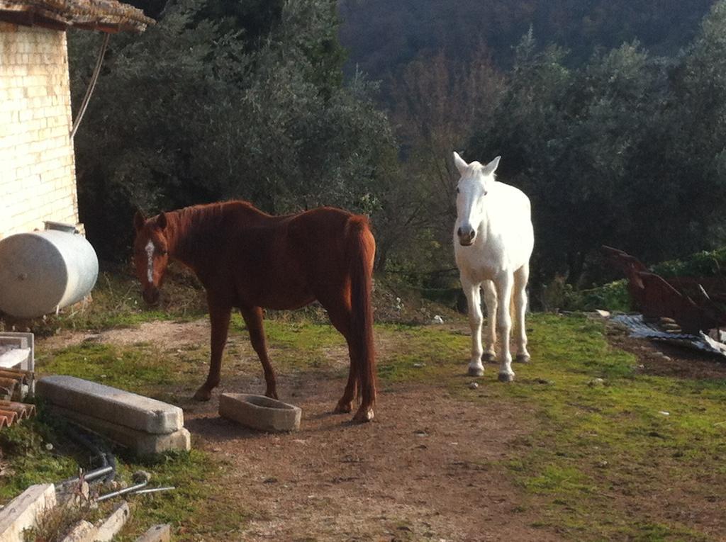 Agriturismo Villa Gabbiano Capodacqua  Buitenkant foto
